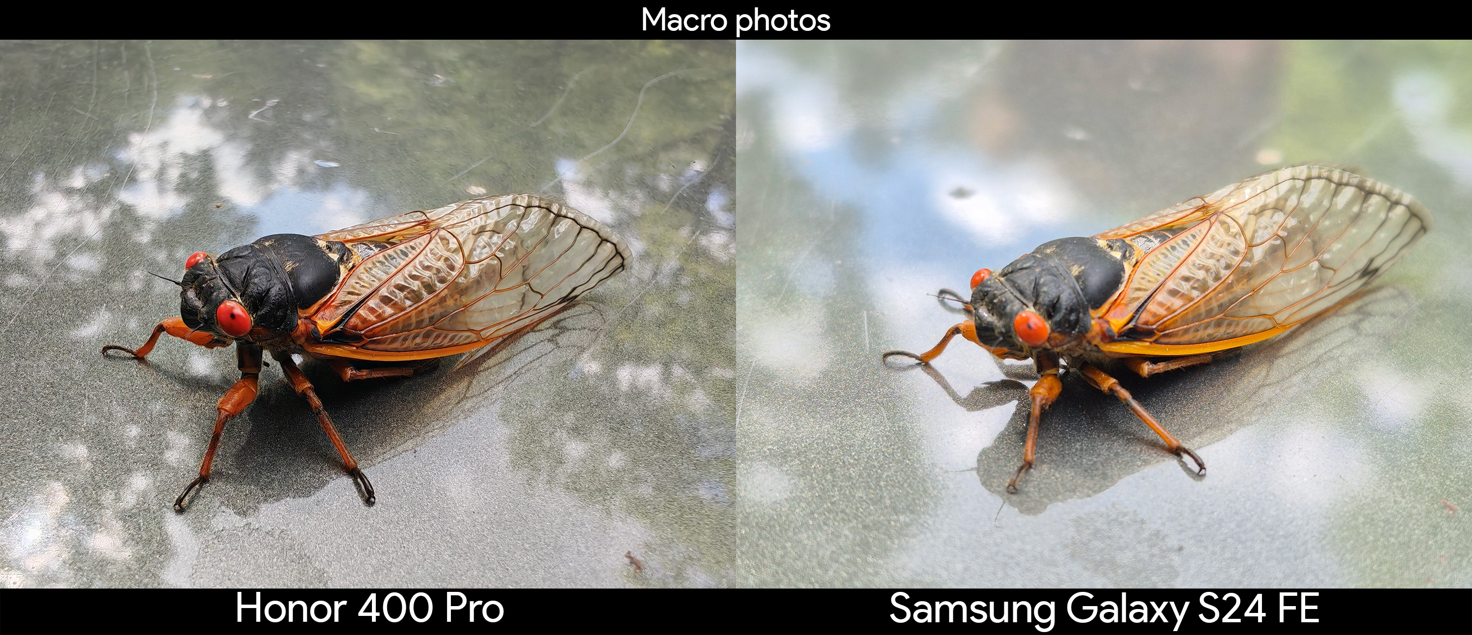 Comparing ultrawide camera samples between the Honor 400 Pro and the Samsung Galaxy S24 FE