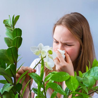 A teenage girl covers her nose in front of houseplants, indicating seasonal allergy response