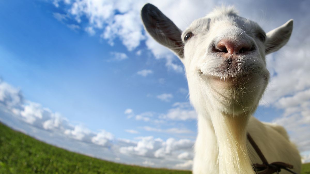 goat-simulator-xbox-one-review-gamesradar