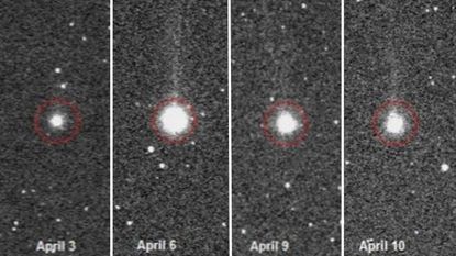 Side by side images showing the comet brighten and then dim between April 3 and April 10