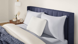 Tempur-Pedic white pillow propped up straight on a bed with a blue headboard and bedding in brightly lit room