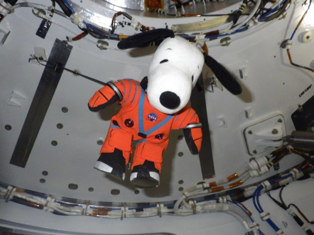 a stuffed doll of a black and white beagle wearing a bright orange and black NASA pressure suit floats inside a spacecraft