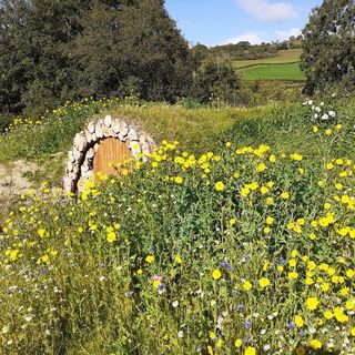 an angled view of the top of a hobbit house showing the log arch around the entrance, tucked under a hill surrounded by green grass and wildflowers, with green fields in the distance and a shining blue sky