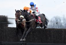 Clan-des-Obeaux-2small-26-12-18-e1545849842442.jpg