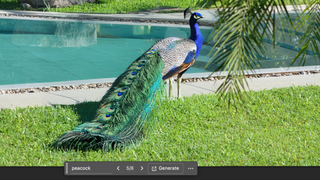 Screenshot showing an AI-generated peacock in Adobe Photoshop