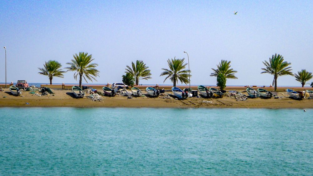 A row of palm trees and empty boats sit on the sand in Quriyat, Oman.