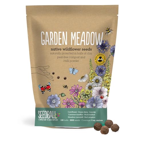 Seedball Garden Meadow Seed Bombs &amp;ndash; 100 Seed Balls Per Pack | Pollinator Friendly Wildflower Seeds - Clay Protected Seed Bomb for Bees, Butterflies, Birds &amp;amp; Garden Wildlife