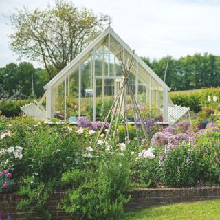 Greenhouse behind raised flower beds with flowering plants and garden wigwam