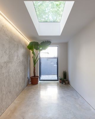 Hallway with a glass door and a large plant