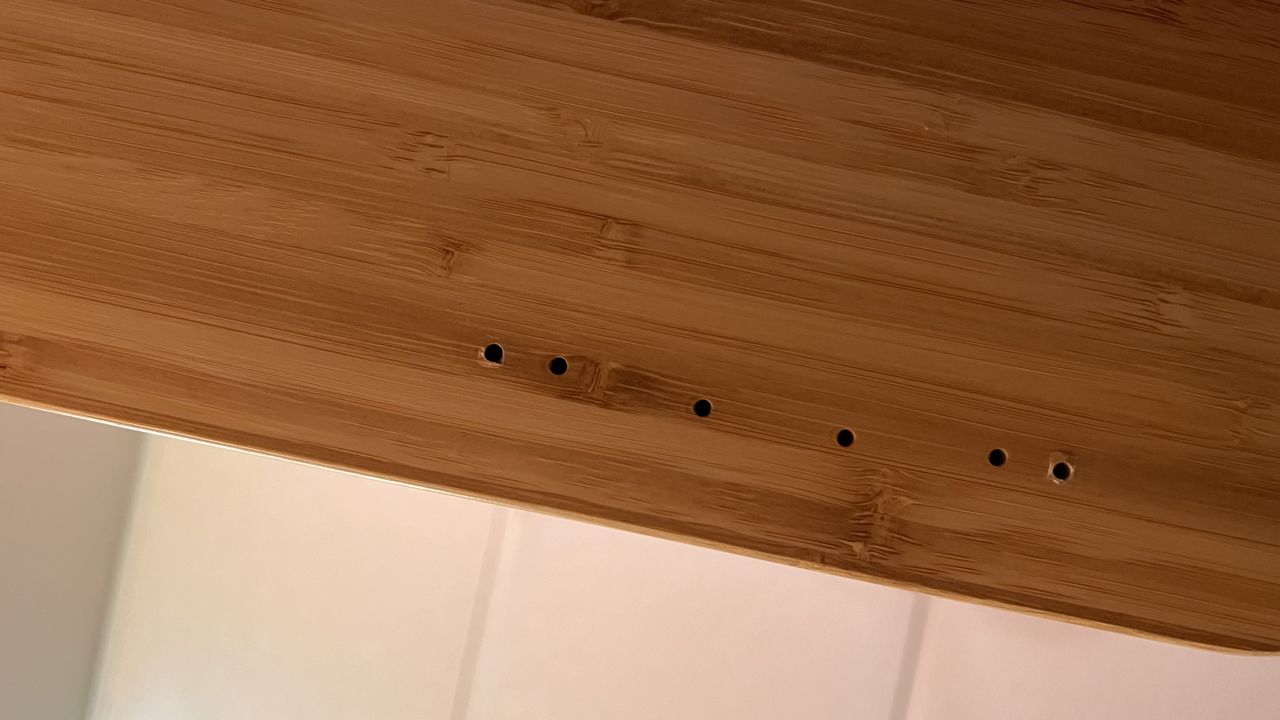 FlexiSpot E8 Standing Desk