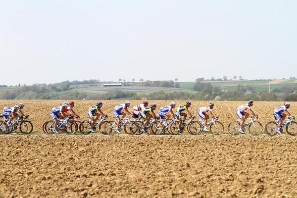The peloton makes its way through the fields