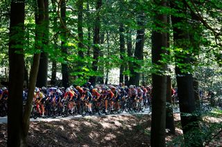 ARNHEM NETHERLANDS SEPTEMBER 10 A general view of the peloton competing during the 25th Simac Ladies Tour 2023 Stage 5 a 1503km stage from Arnhem to Arnhem UCIWWT on September 10 2023 in Arnhem Netherlands Photo by Bas CzerwinskiGetty Images