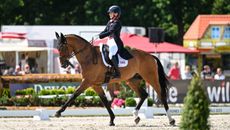 Luhm&uuml;hlen Horse Trials dressage 2025