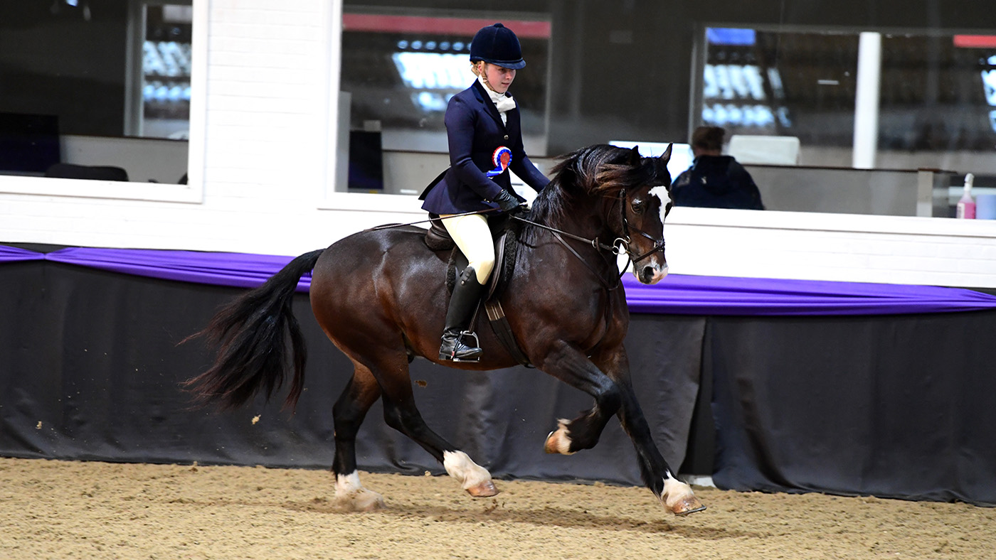 Heritage Show 16.10.2266864