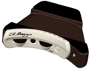 LR Baggs Anthem pick-up controls