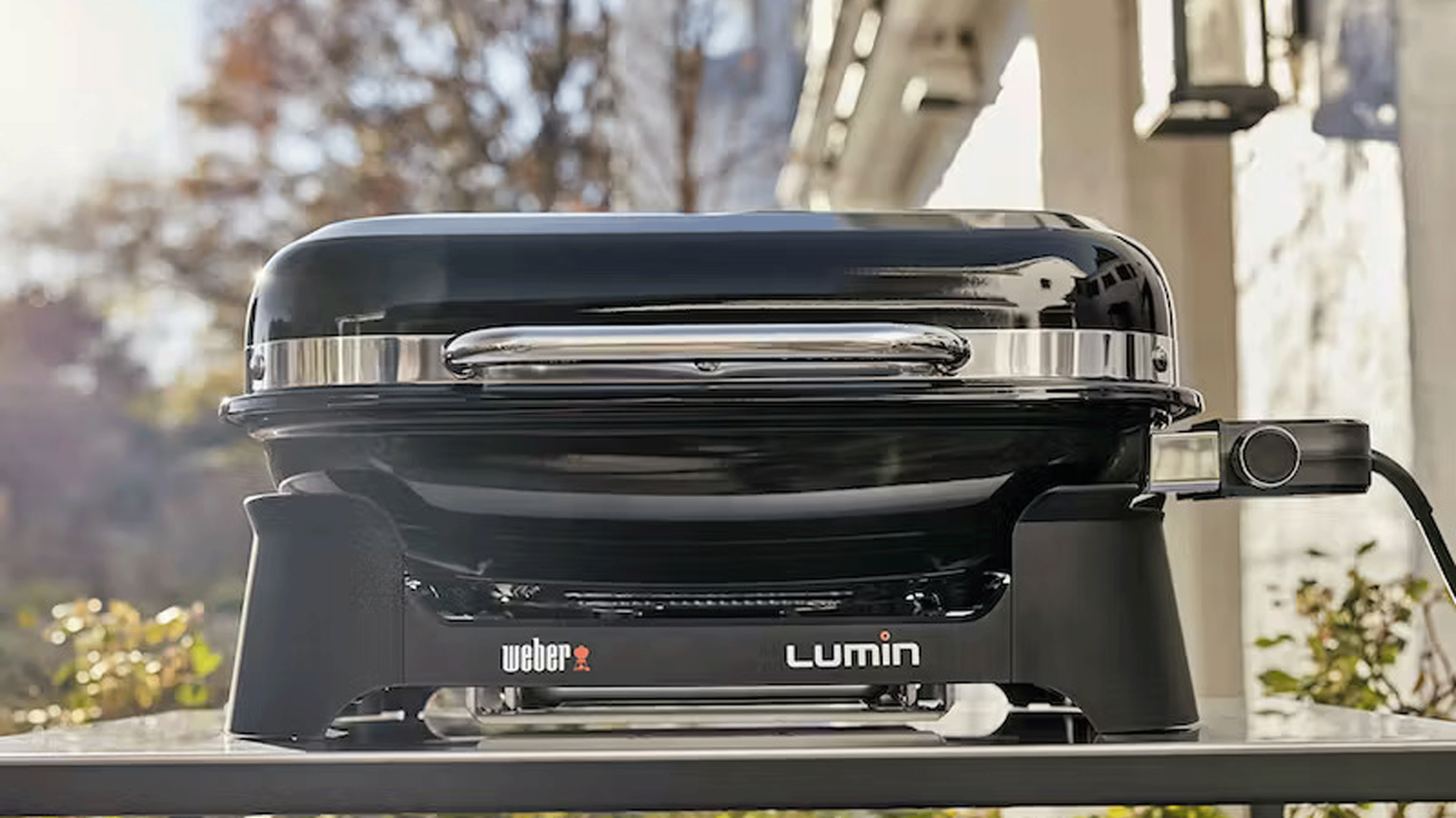 Weber Lumin Review: A Grill for People Who Think They Can't Grill