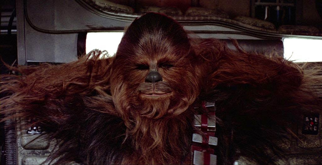 Chewbacca loses