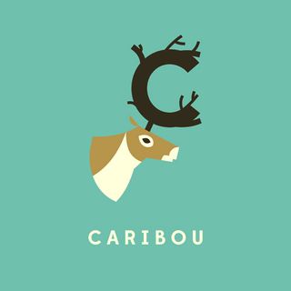 caribou typography