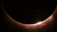 A close-up of the sun's disk during a total eclipse reveals fiery solar prominences.