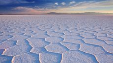 The honeycomb pattern in a salt desert landscape.