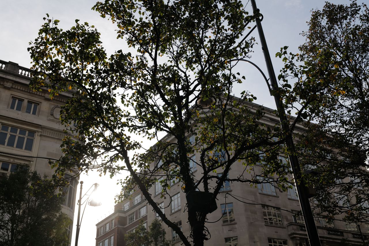 This was interesting. We couldn't repeat this test with a different camera, but in this tricky contre-jour shot the Leica SL2 has captured far more tone in the very bright sky and the shadows than we would have expected &ndash; and this is just an in-camera JPEG.