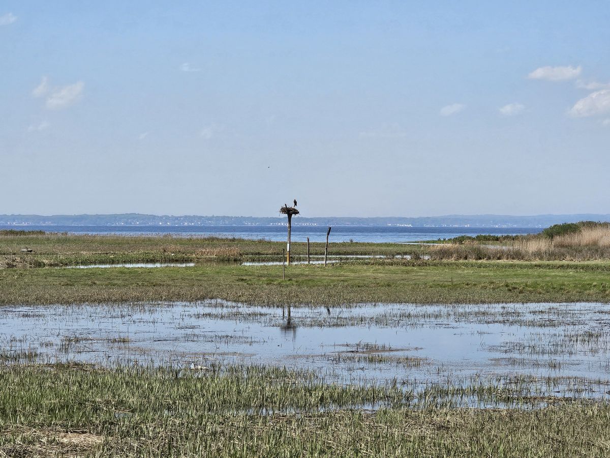 Samsung Galaxy S23 Ultra zoom sample.