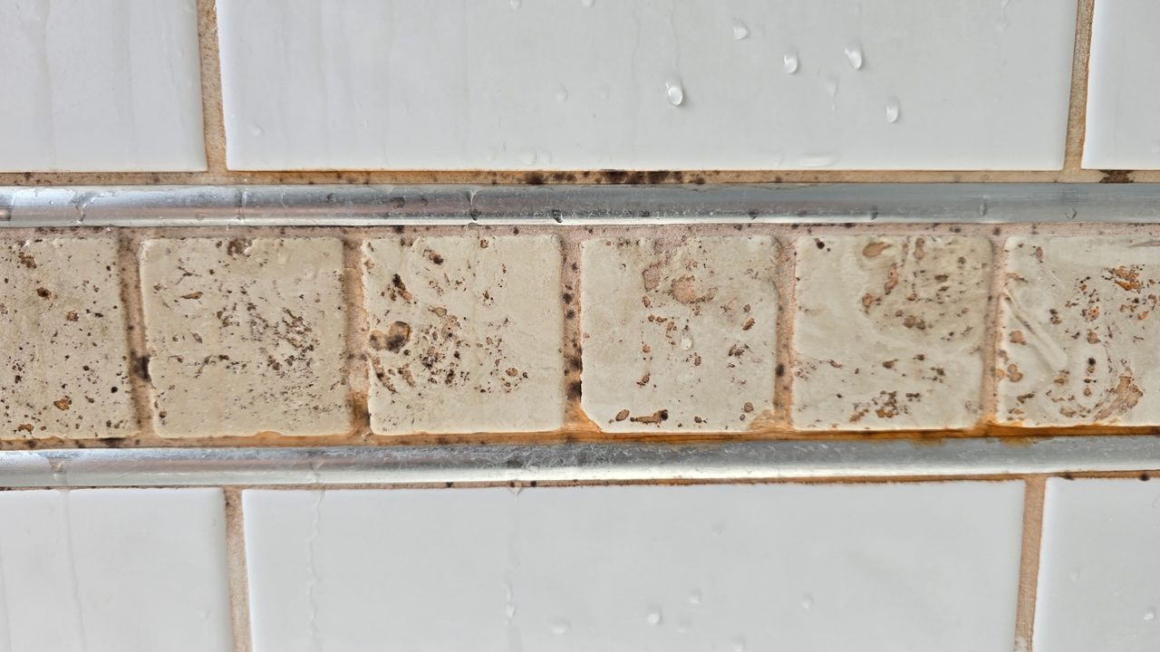 Tile grout before cleaning with Vax Steam Fresh Total Home