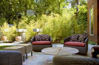 A backyard patio with garden furniture
