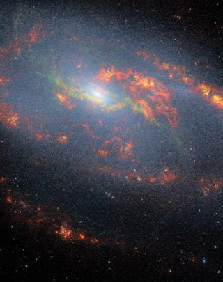 The hidden intricacies of Messier 106 spiral galaxy