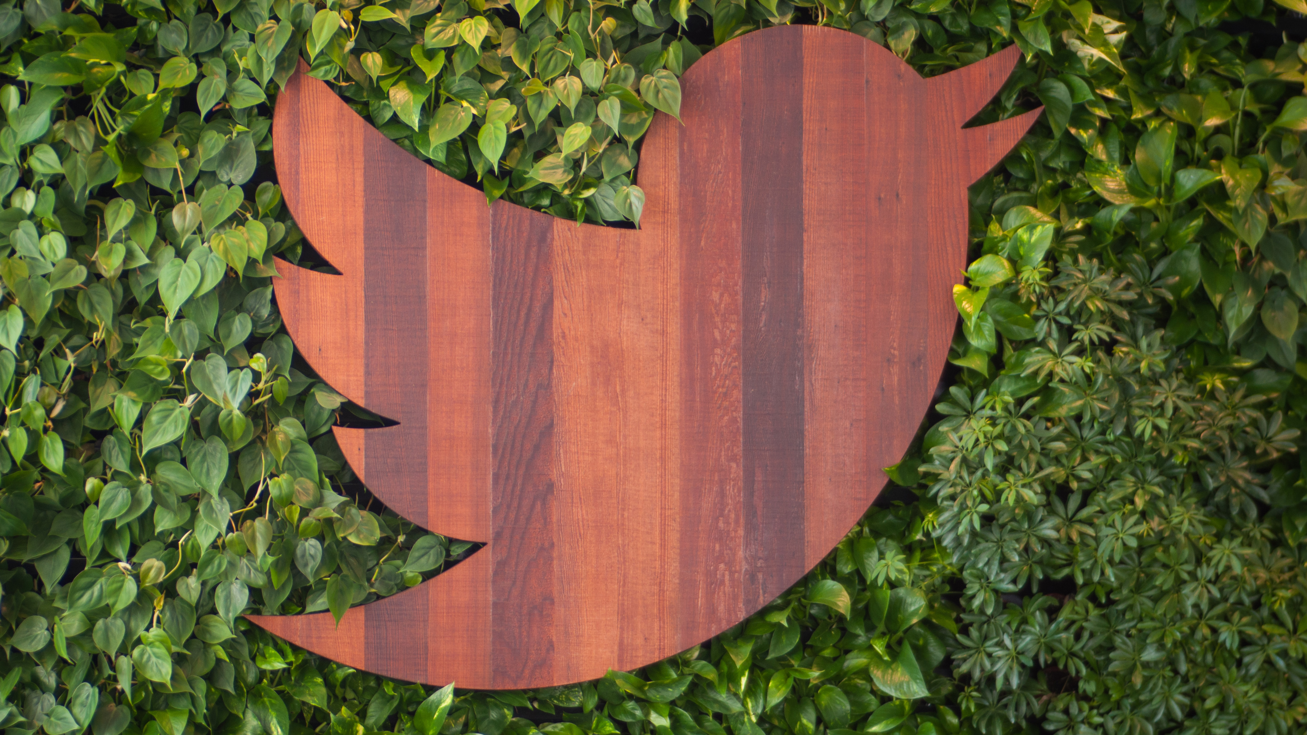 Your pics and links won&#039;t eat up Twitter&#039;s character limit any more