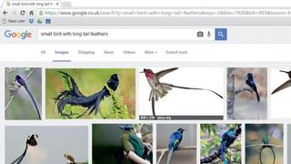 google images advanced search