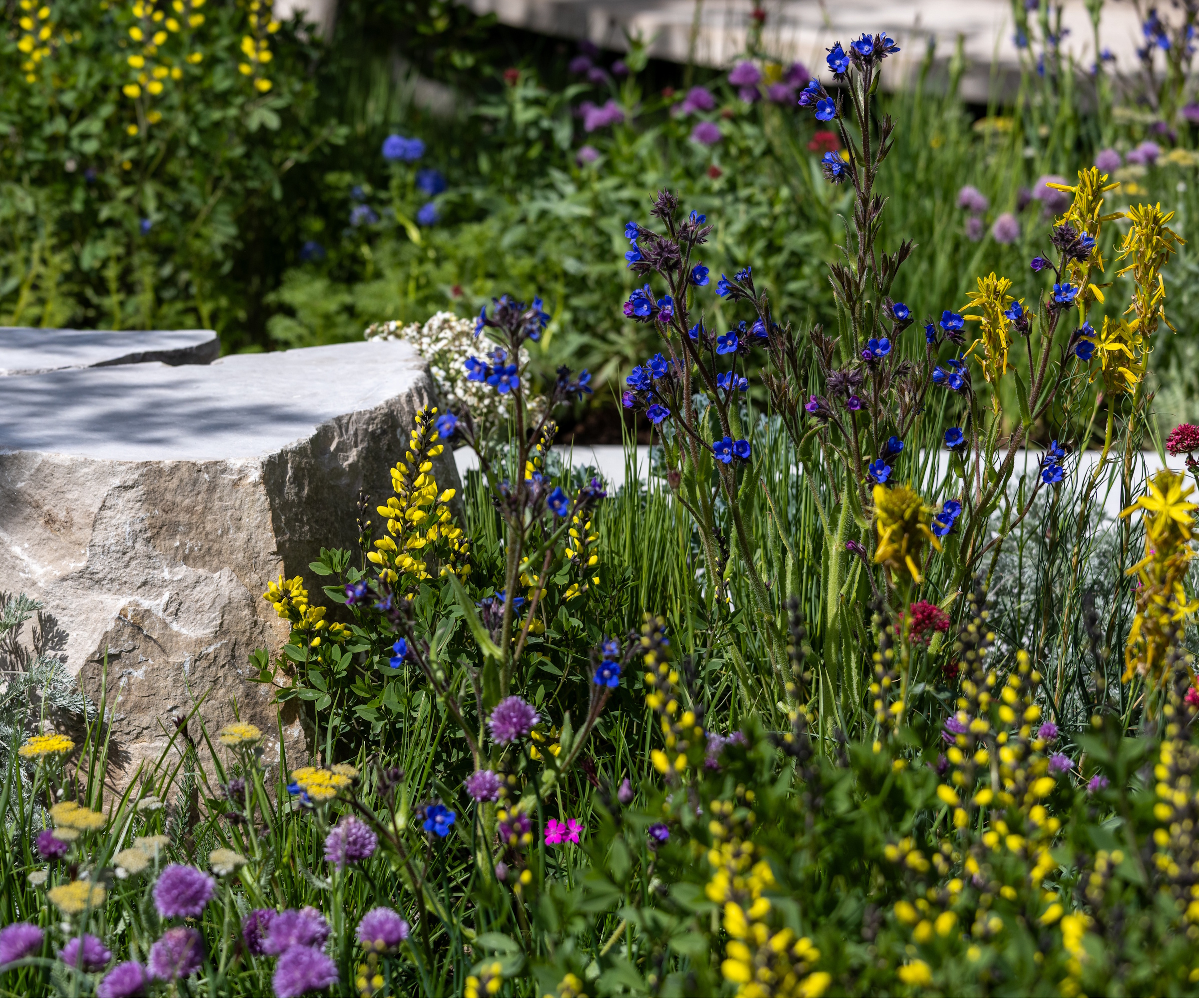 RHS Chelsea 2026 The Eden Project Garden