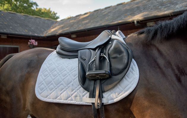 Eskadron Climatex Trapez Half Pad review