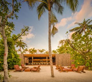 Patina Maldives bar area with palm trees and wooden chairs on sand