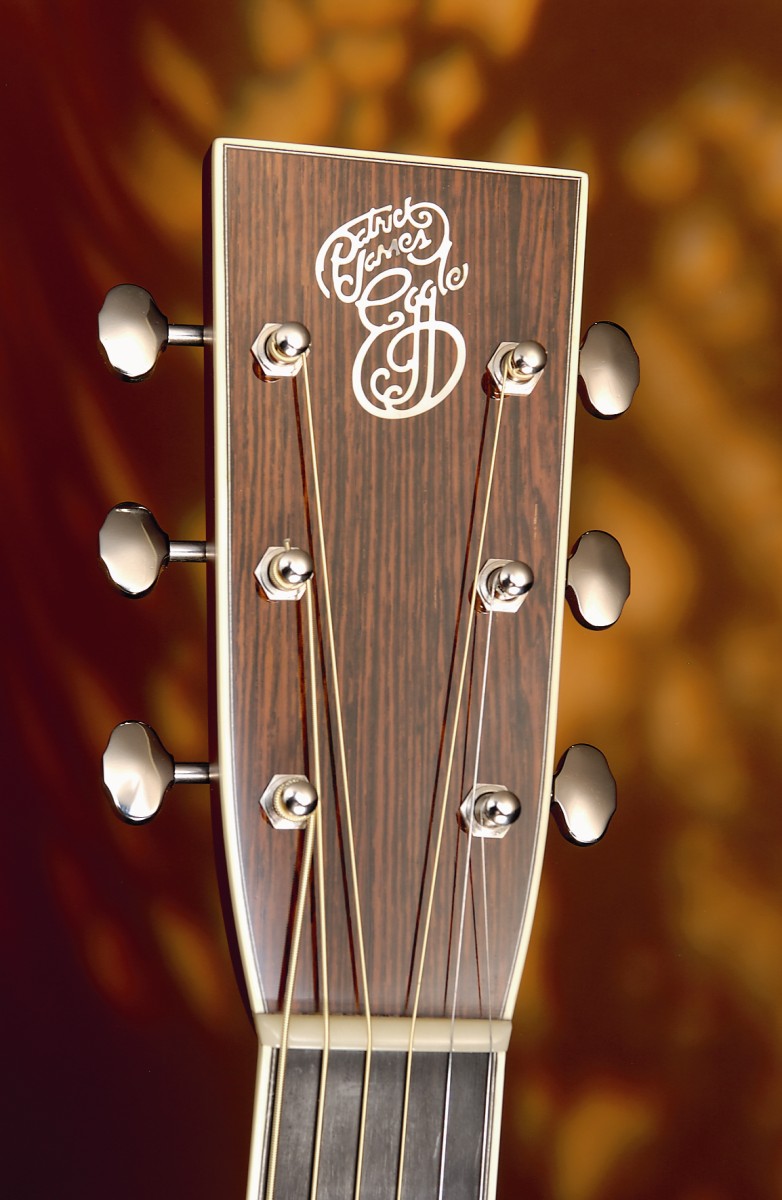 The Martin-inspired headstock oozes class.