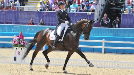 Pictured US Olympic dressage rider Adrienne Lyle and Wizard at London 2012.