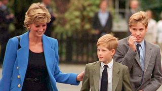 Princess Diana Prince Harry spare