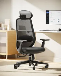 ProtoArc EC200 Ergonomic Office Chair