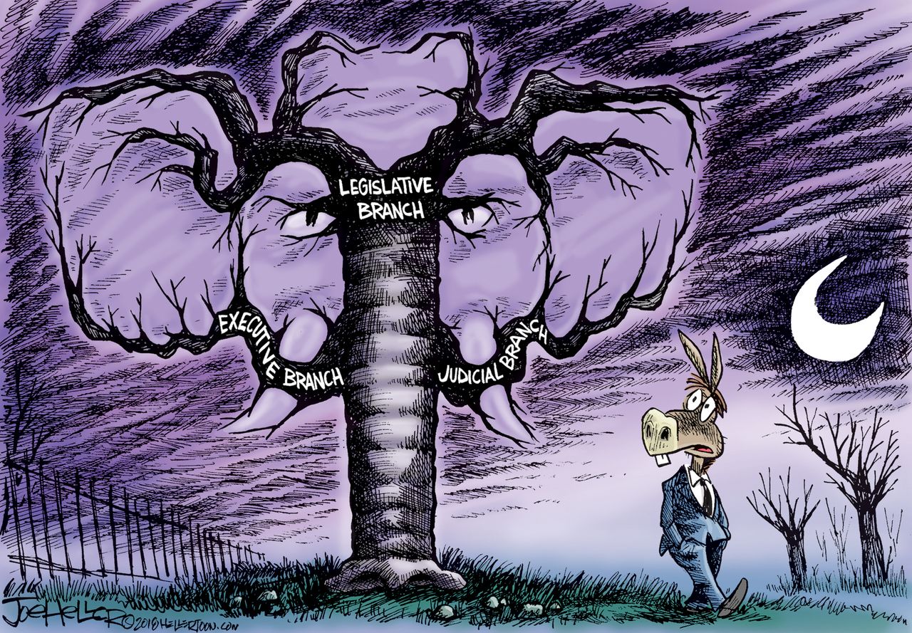 U.S. Three branches of government republicans democrats