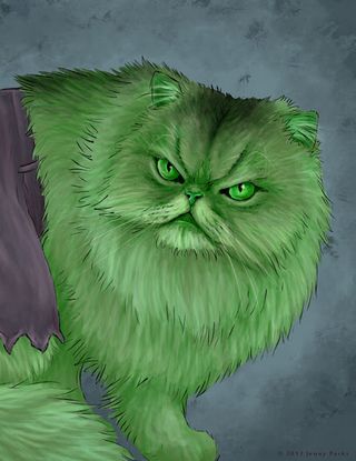 cat illustrations