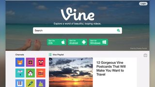 Vine