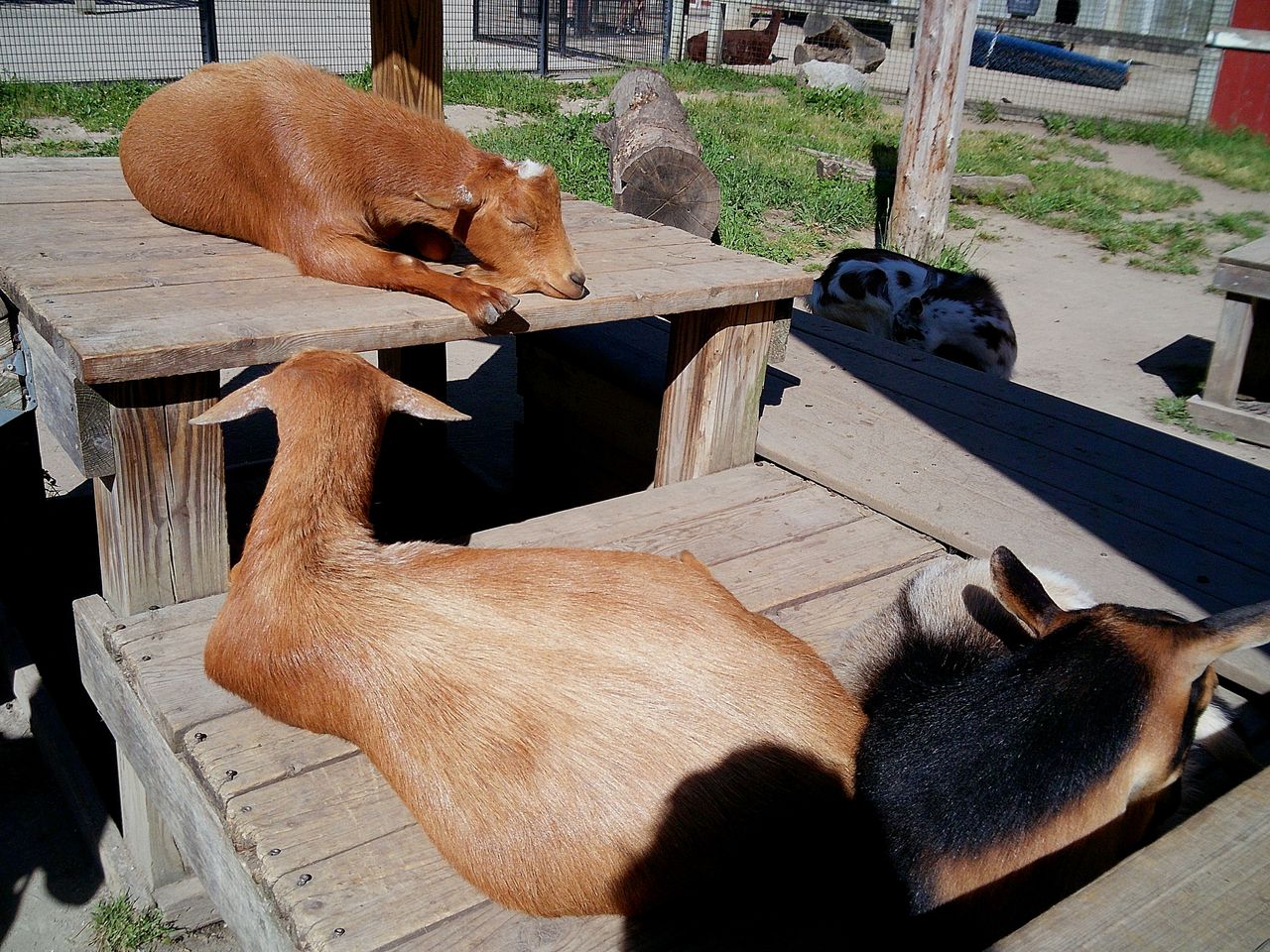 Sample image taken with the Camp Snap 2