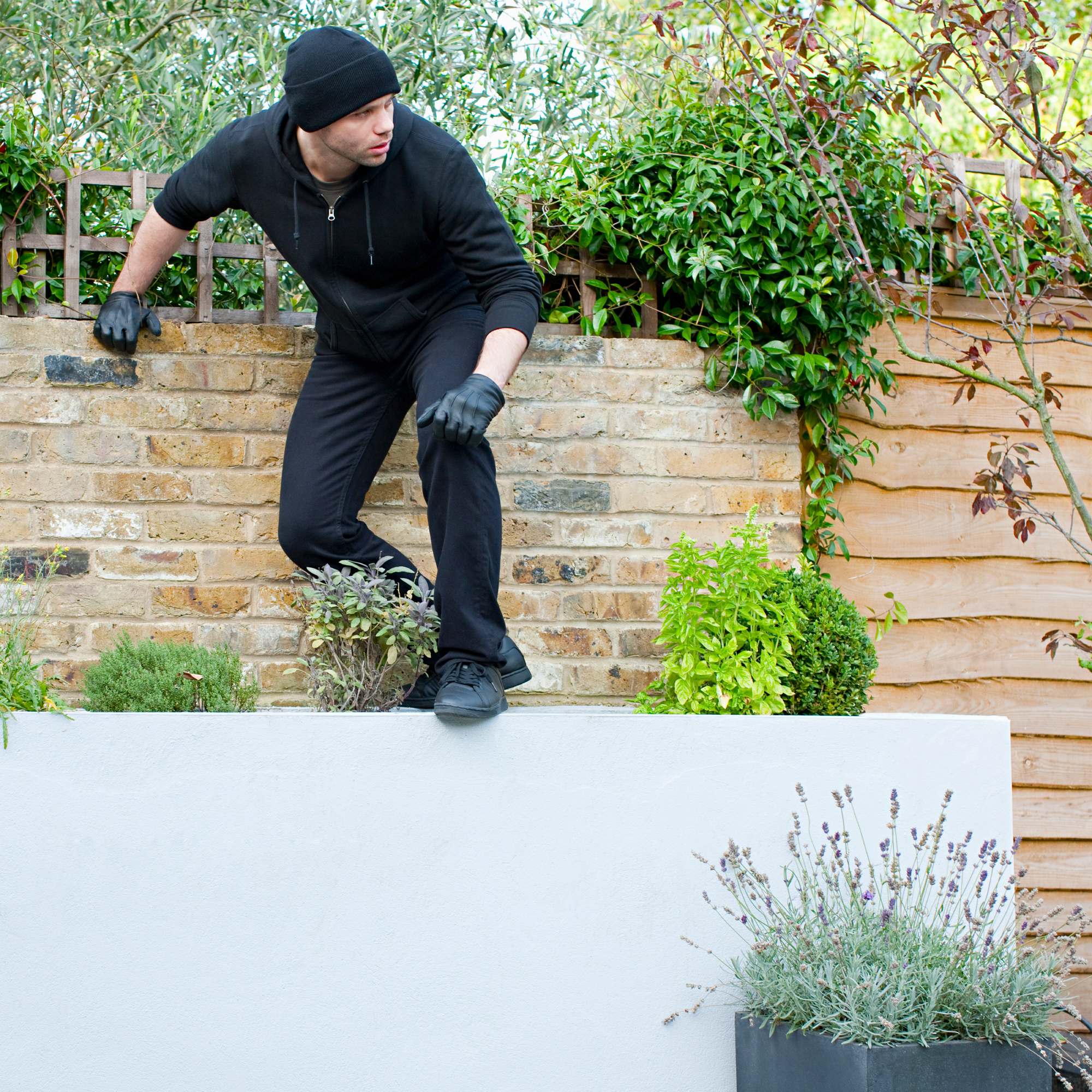 burglar climbing over planter in yard 
