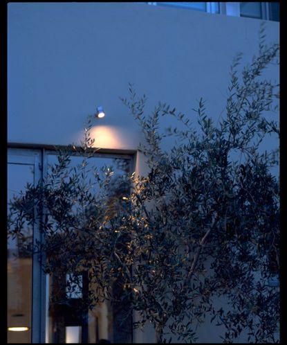 An example of garden security lighting showing a garden with a spotlight above a glass door