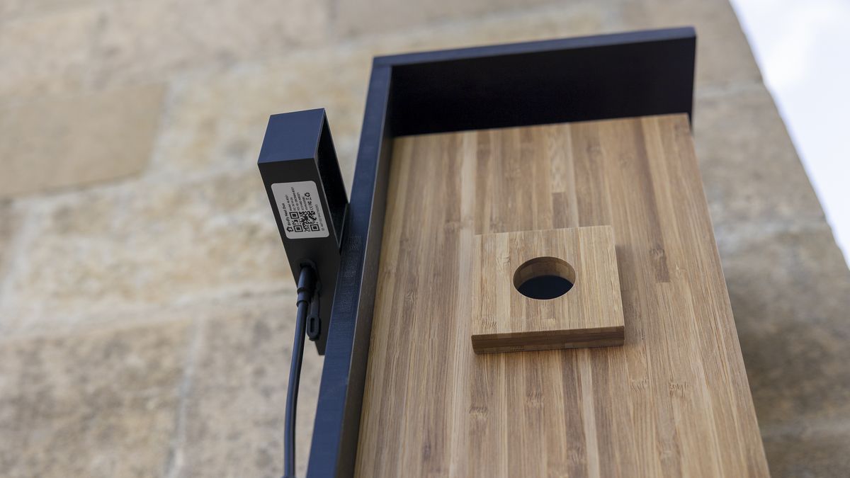The Birdfy Nest Duo feeder on a stone wall up-close