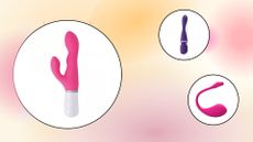 Collage of app-controlled vibrators from Lovense and We-Vibe