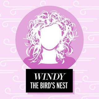 Windy: The Bird's Nest