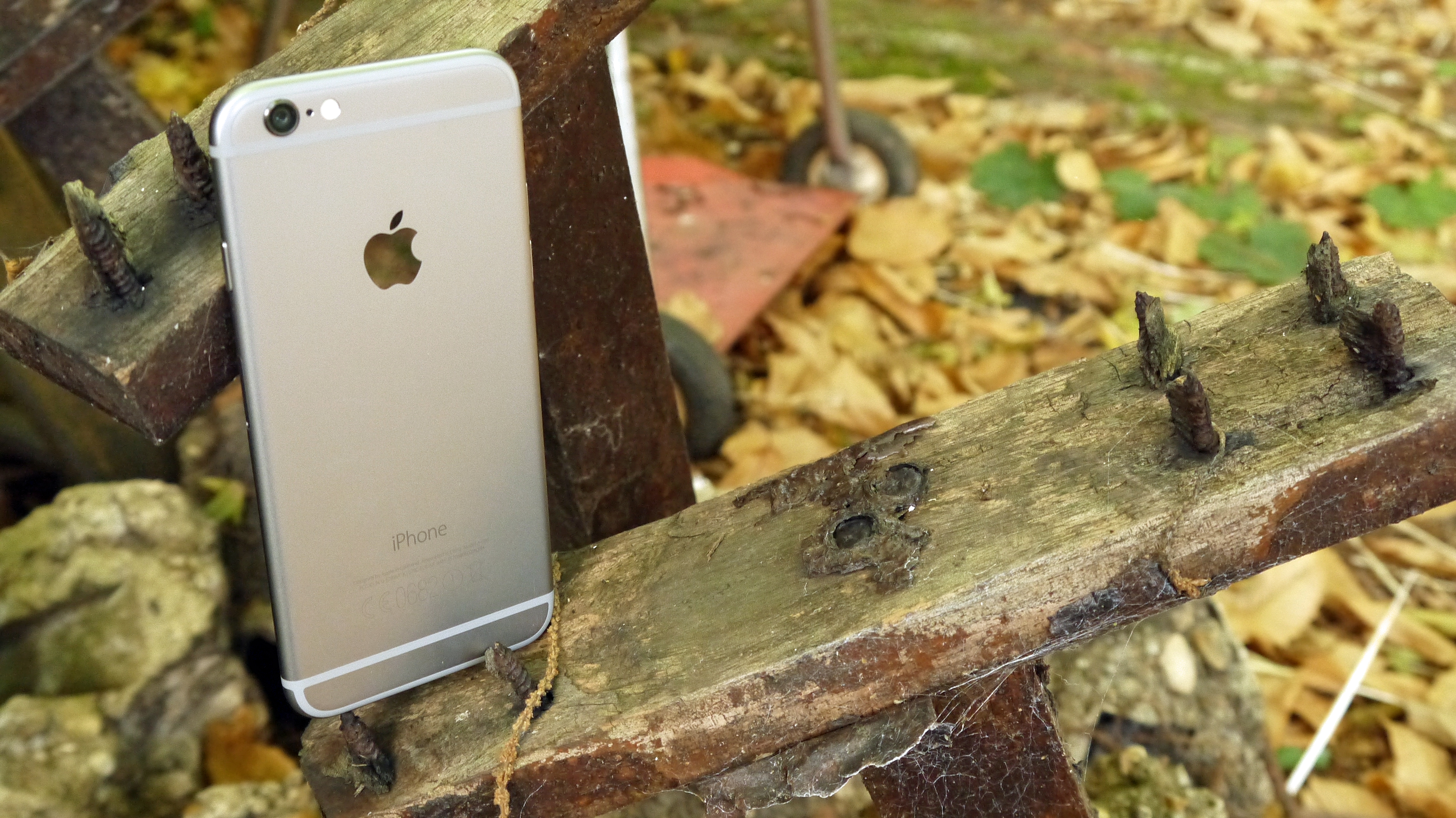 Where does Apple go after the iPhone 6?