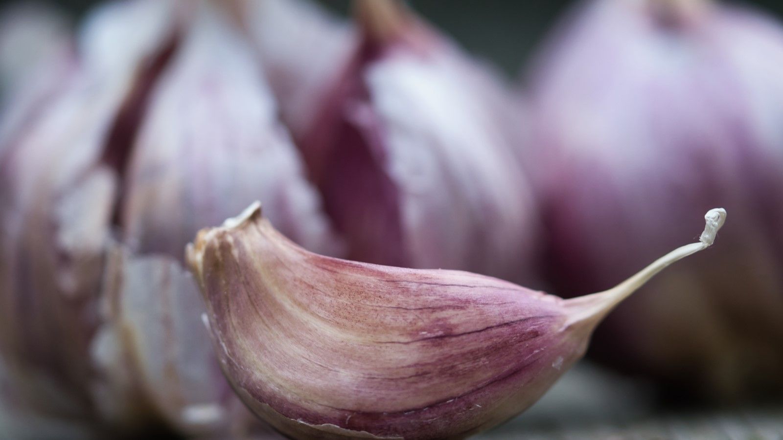 Hardneck vs softneck garlic the pros and cons of each type Homes