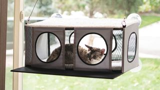 K&H EZ Mount Penthouse Kitty Sill Cat Bed mounted to window with tabby cat inside